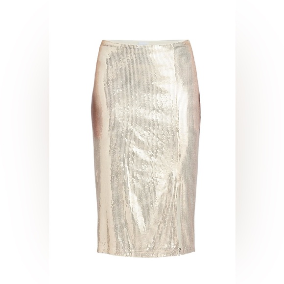 Time and Tru Dresses & Skirts - Sequin skirt with side slit